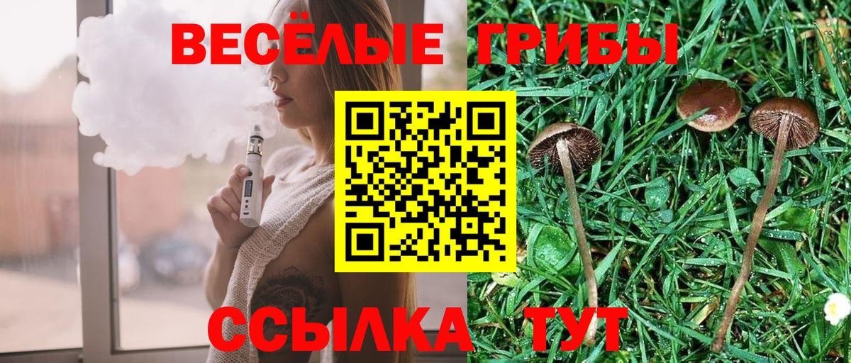Лянтор  Псилоцибиновые грибы ЛСД  Вход с VPN  Псилоцибиновые грибы мицелий 